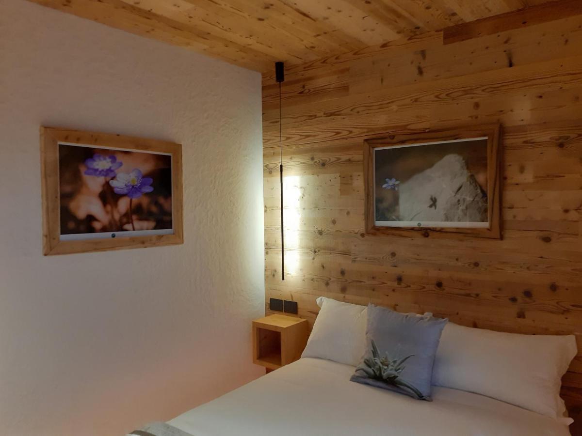 B&B Il Bucaneve Santo Stefano Di Cadore Exteriér fotografie