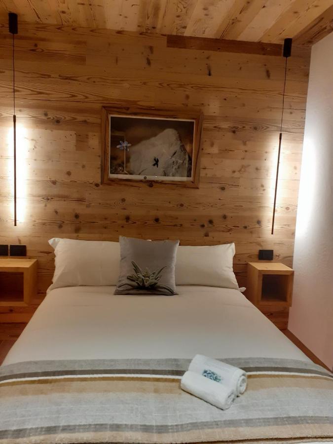 B&B Il Bucaneve Santo Stefano Di Cadore Exteriér fotografie