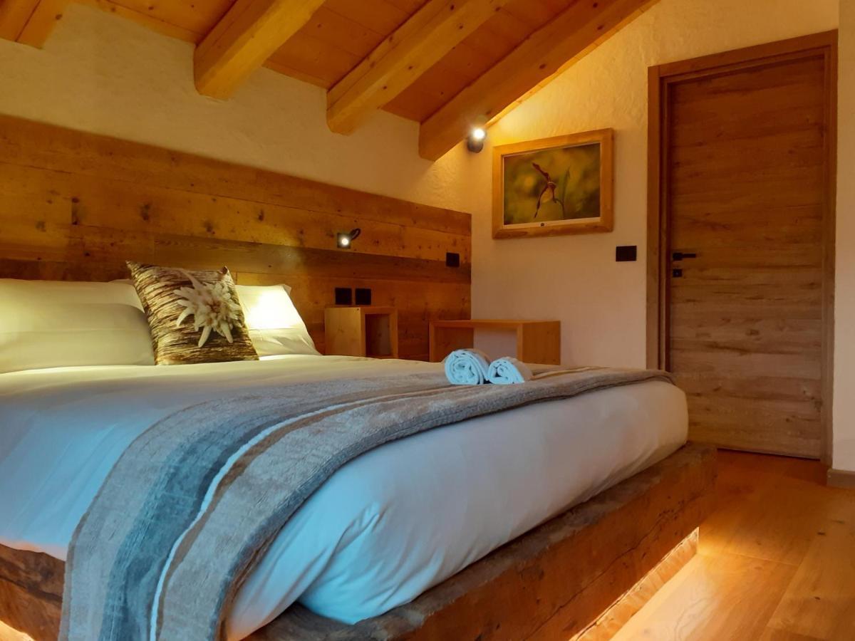 B&B Il Bucaneve Santo Stefano Di Cadore Exteriér fotografie