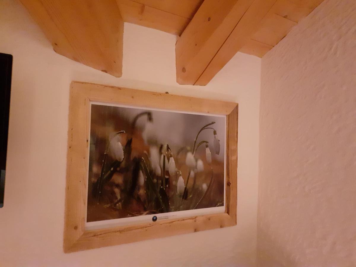 B&B Il Bucaneve Santo Stefano Di Cadore Exteriér fotografie