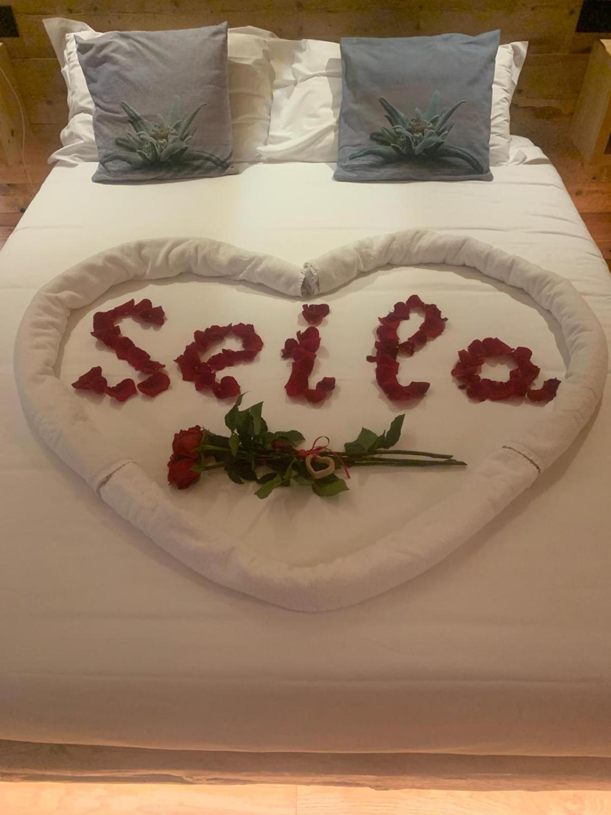 B&B Il Bucaneve Santo Stefano Di Cadore Exteriér fotografie